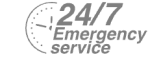 24/7 Emergency Service Pest Control in Parson's Green, SW6. Call Now! 020 8166 9746