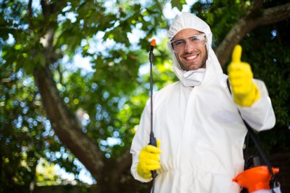 Bug Control, Pest Control in Parson's Green, SW6. Call Now 020 8166 9746